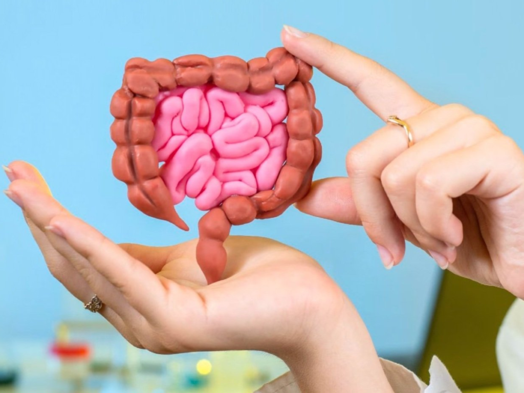 Helps manage digestive stress